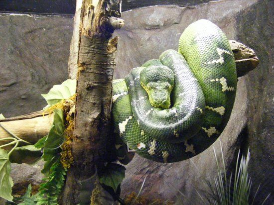 Zoológico de San Juan de Aragón